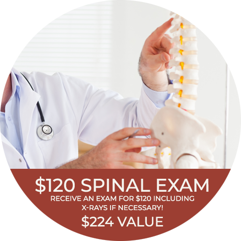 chiropractic exam special